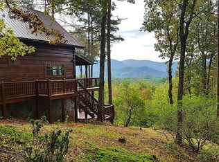 754 Little Bushy Head Rd #3, Blue Ridge, GA 30513