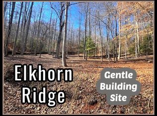 44 Elkhorn Ridge Dr, Franklin, NC 28734