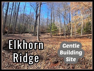 44 Elkhorn Ridge Dr, Franklin, NC, 28734