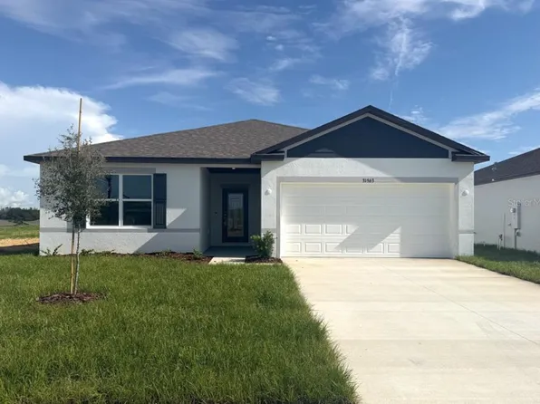 31563 WILD GRAPE LANE, BROOKSVILLE, FL 34602