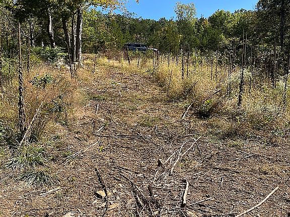 5th image of 10075 Waterford Dr