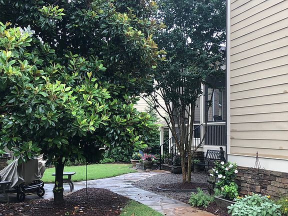 Backyard looking at Porch