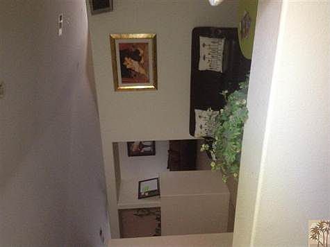 5th image of 45597 Sago Palm Cir