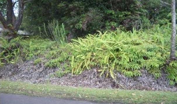 2nd image of 18-4143 Haumalu St Lot 97