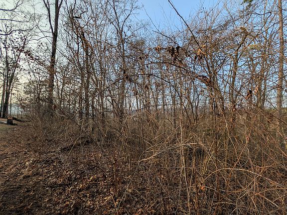 5th image of 0 Pine Breeze Cir Lot 5