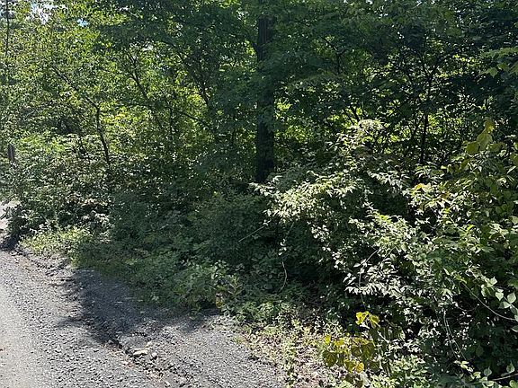 5th image of 2LOTS;-463 462 Reid Dr