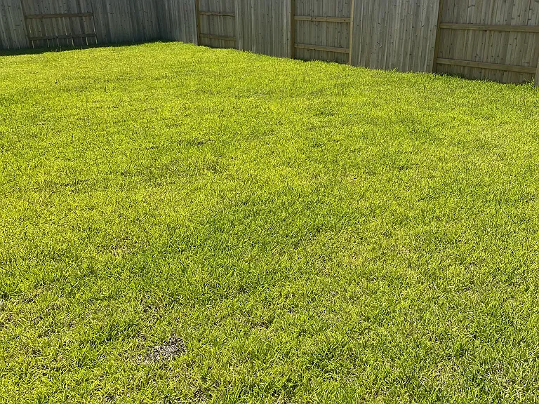 31505 Olivella Dr — Photo 12