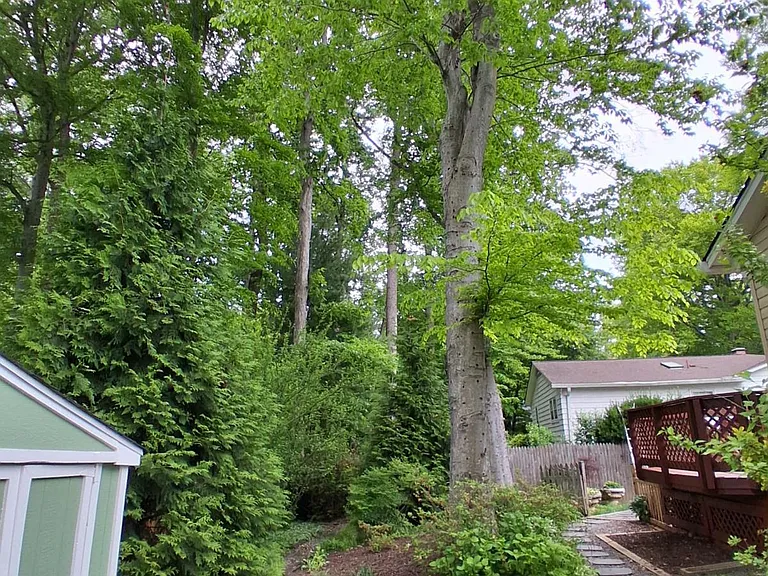 14412 Pecan Dr — Photo 59
