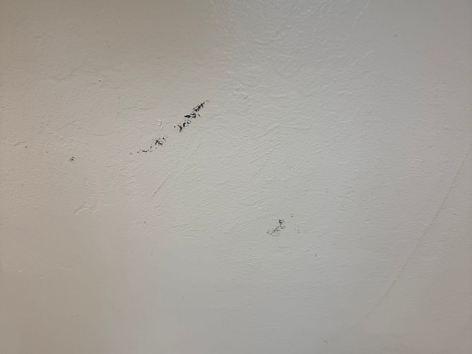 1st image of 1213 W Washington Ave #3