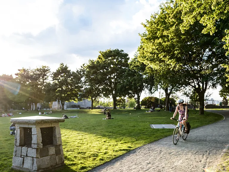 Explore the trails at Cal Anderson Park