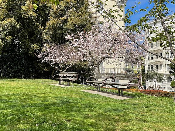 3rd image of 1830 Clay St APT 102