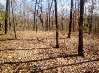 128 Lt 128 Beech Tree Dr, Ellijay, GA 30540