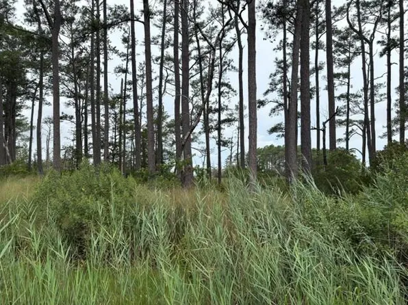 LOT 9 Ridge Rd, Bloxom, VA 23308