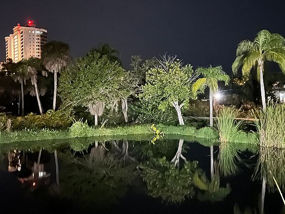 Nite view