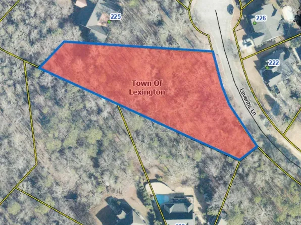 221 Leventis Ln, Lexington, SC 29072