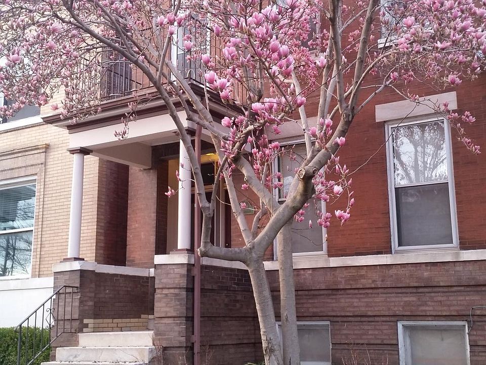 1st image of 4059 Shenandoah Ave