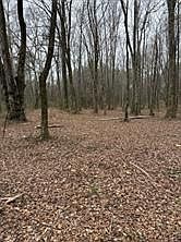 4th image of 0 Center Rd Lot 1