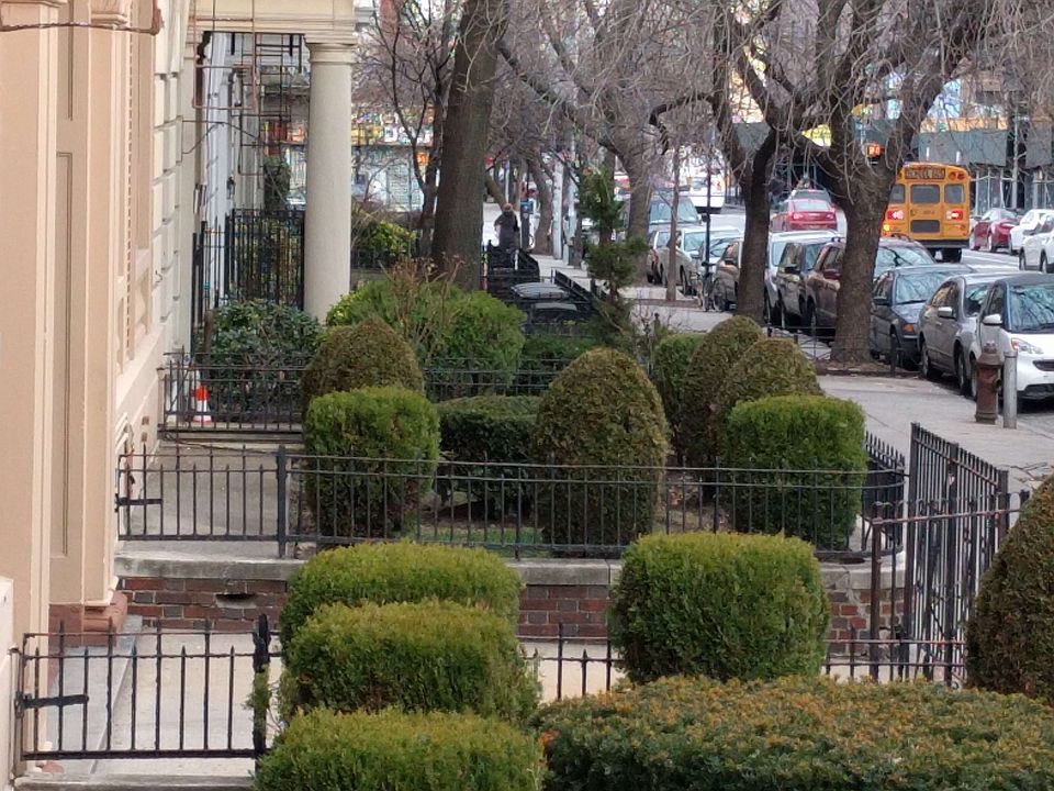 1st image of 403 Saint Johns Pl APT 2F