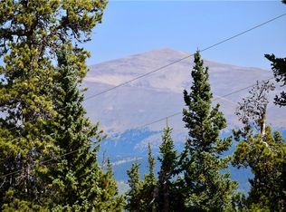 391 Bobcat Ln, Fairplay, CO 80440