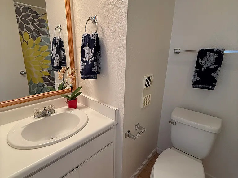 Downstairs bathroom