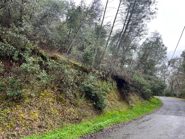 7022 Black Oak Street, Nice, CA 95464