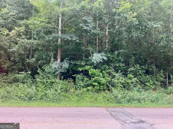 811 Askew Ave, Hogansville, GA 30230