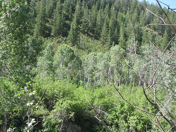 5th image of 6 S Birch Creek Dr #6