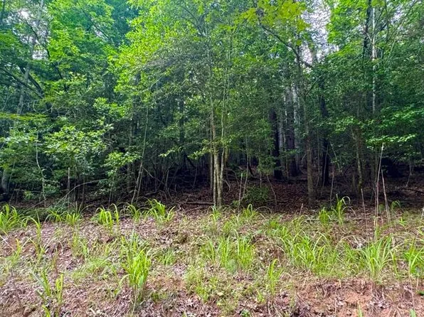 9 Timberline Rd, Murphy, NC 28906