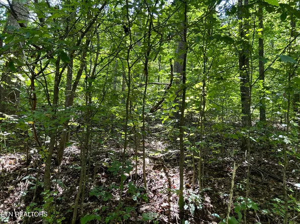 Pearl Ln Lot 5, Maynardville, TN 37807