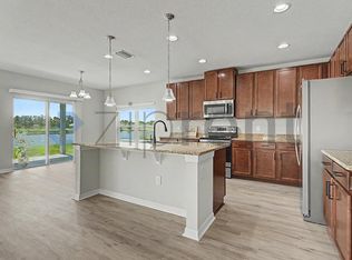 10328 Hawks Landing Dr, Land O Lakes, FL 34638