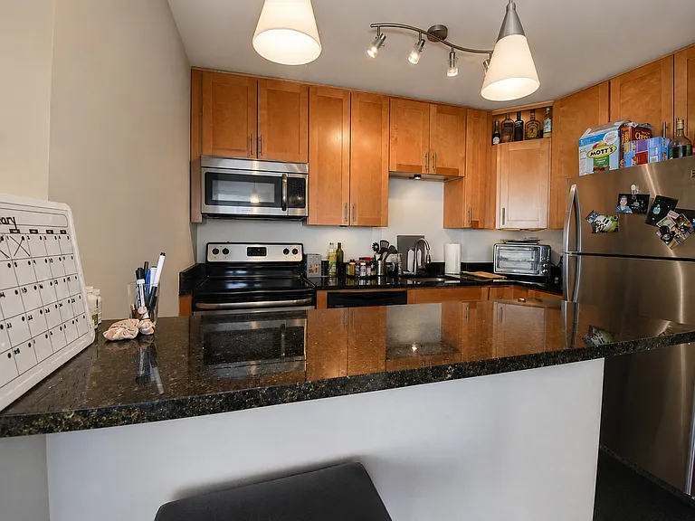 1455 N Sandburg Ter #509 — Photo 5