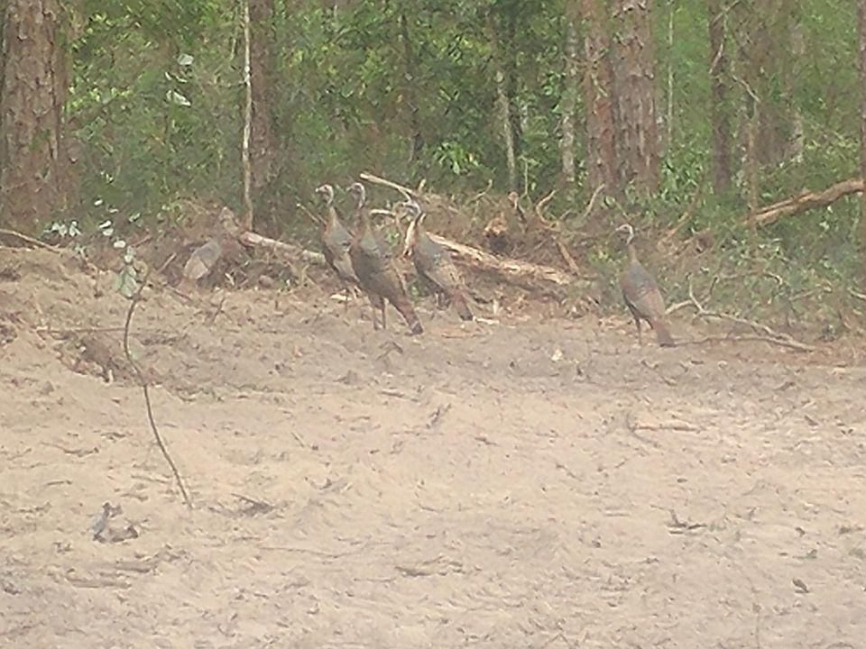 2nd image of 2507 Rabbit Ct