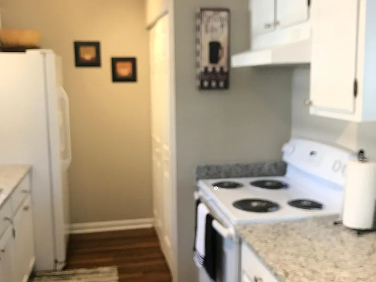 415 Sherrels Frd — Photo 11