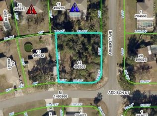 3069 Amherst Ave, Spring Hill, FL 34609