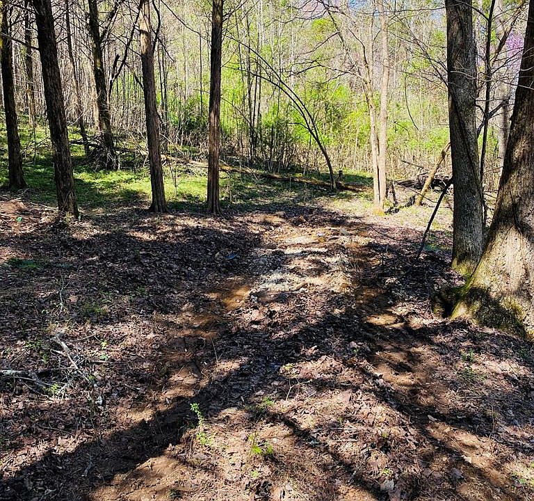 2nd image of 7635 Jones Rd