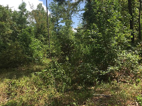 5th image of 21610 County Road 4243d