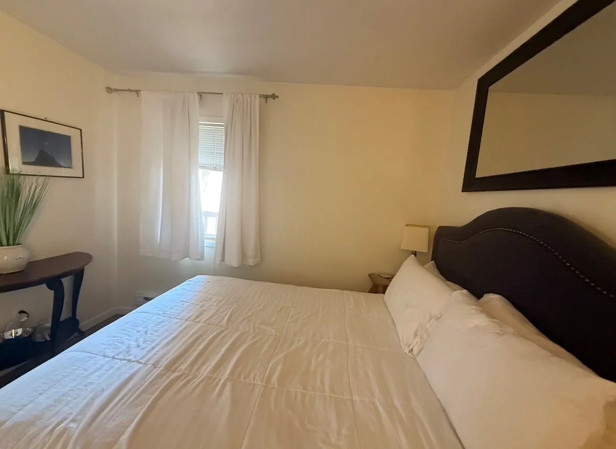 1 bed, 500 sqft, $1,500 — Photo 4