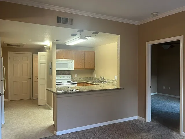 10001 Woodcreek Oaks Blvd #52X — Photo 7