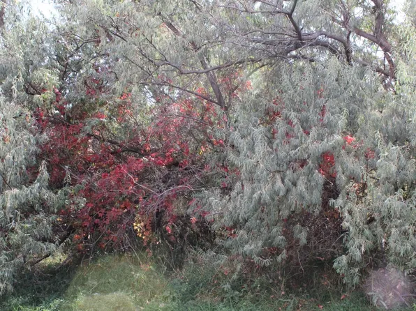 LOT 6 Sage St, Newcastle, WY 82701