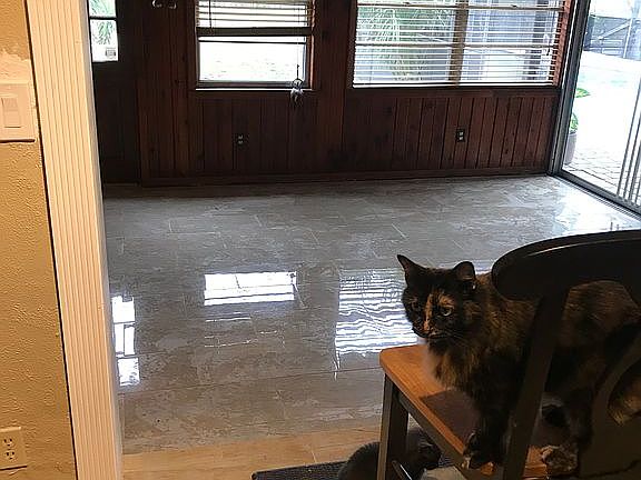 5th image of 137 SE 6th Ave