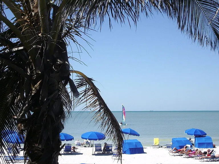 Welcome to Paradise!