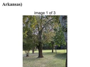 116 Laurel St, Delaplaine, AR 72425