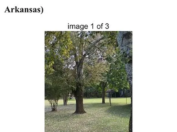 116 Laurel St, Delaplaine, AR 72425