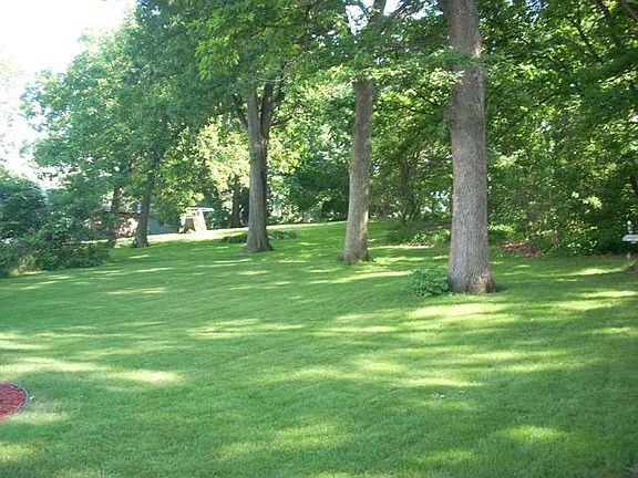 Back yard view from patio