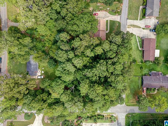 4th image of 1924 Charlotte Dr #19A