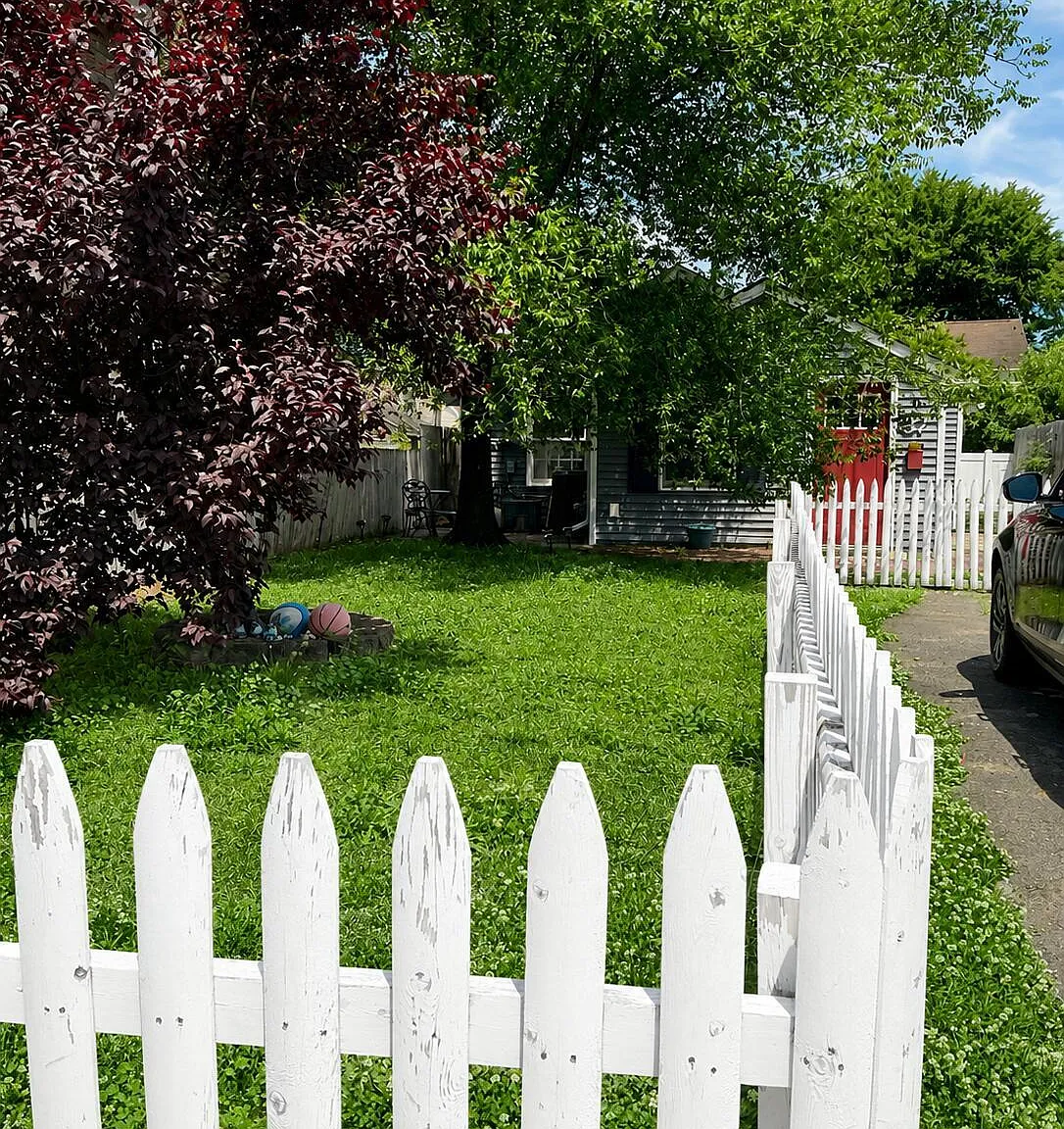 1 bed, 2110 sqft, $3,000 — Photo 2
