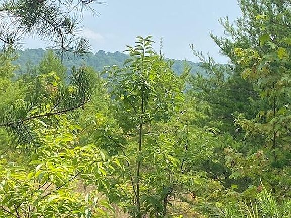 5th image of 313 Caney View Dr Lot 31