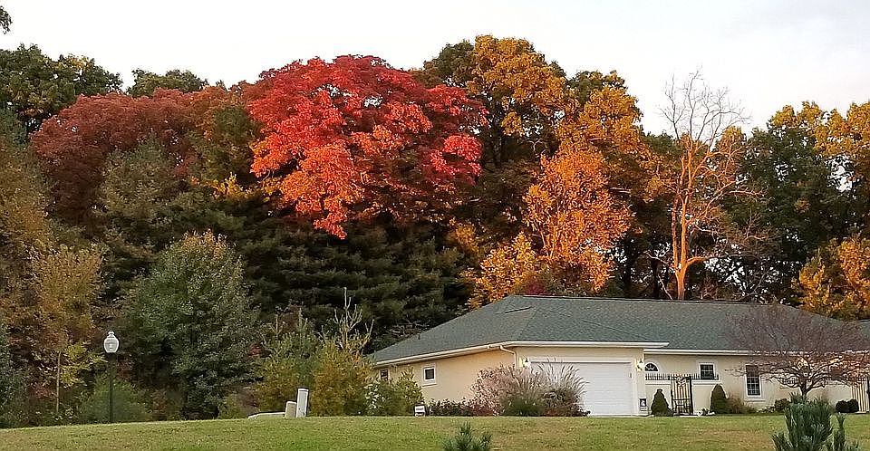 Front in the Fall