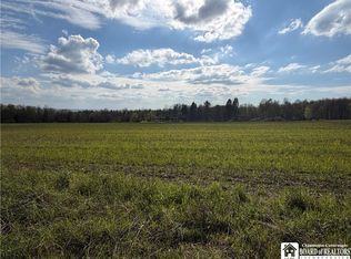 0 Scott Hill Rd LOT 46, Kennedy, NY 14747