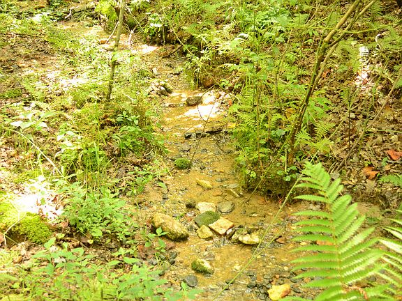 3rd image of 140 Babbling Brook Ln